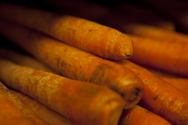 Close-up of Carrots