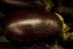 Close-up of Eggplant