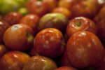 Close-up of Fuji Apples