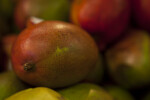 Close-up of Mango