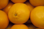 Close-up of Oranges