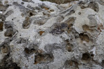 Close-Up of Porous Rock at Colt Creek State Park