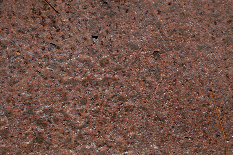 Close-Up of Rusted Metal at Windley Key Fossil Reef Geological State Park