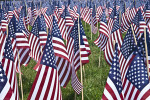 Close-Up Photo of American Flags