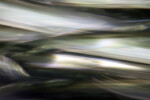 Close-Up Photo of Fast Moving Fish