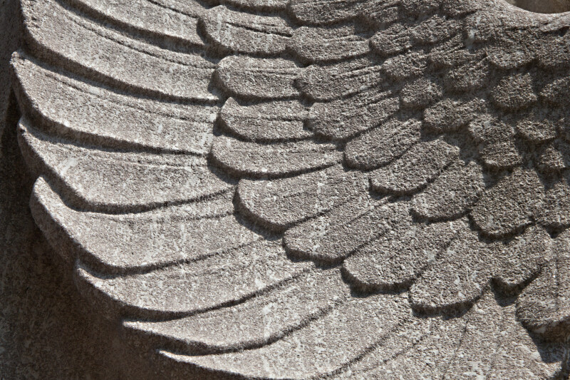 Close-Up Photograph of the Wings of an Eagle Statue at Boston Common