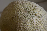 Close-Up View of a Ripe Cantaloupe