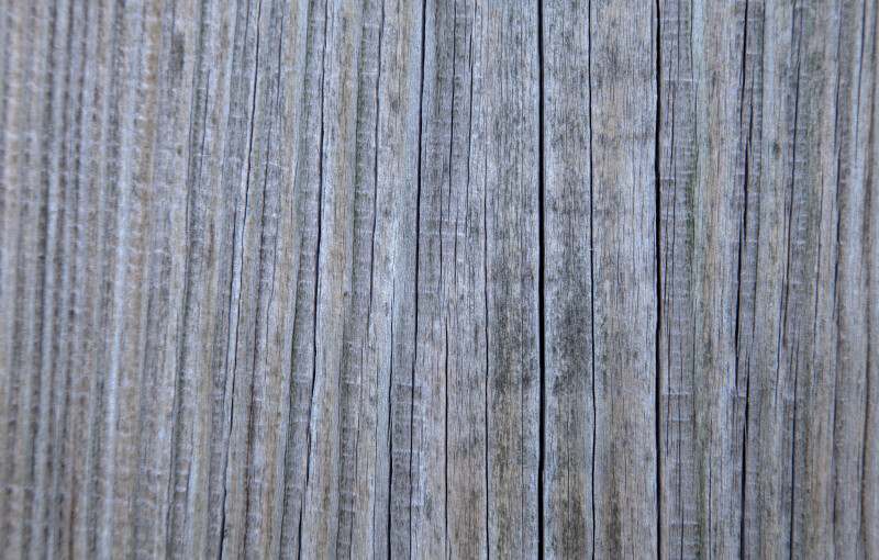 Close-Up View of a Wooden Fence at the Reconstructed Fort Caroline Site