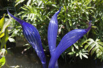 Close-Up View of Blown Glass Herons