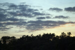 Clouds Over Treetops