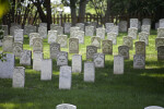 Cluster of Headstones