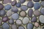 Cobblestone Pavement at the Kanapaha Botanical Gardens