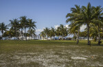 Coconut Palms Near the Marina at Biscayne National Park