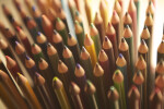 Colored Pencil Points, Light Background