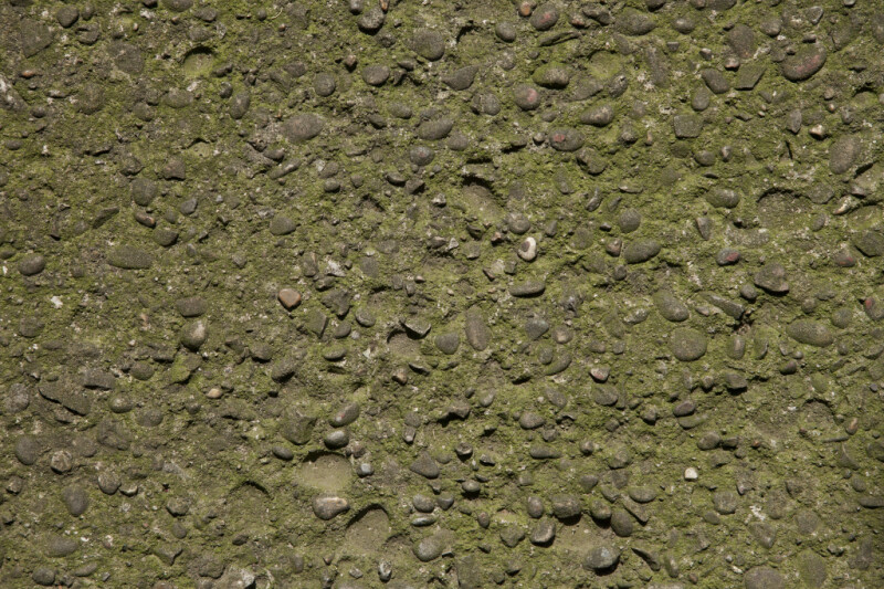 Concrete and Moss