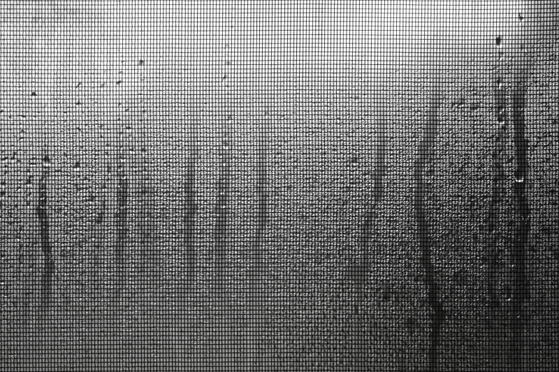 Condensation on a Window Screen