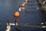 Cormorants Resting on Metal Pipes of Water Control Station