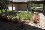 Courtyard Plants