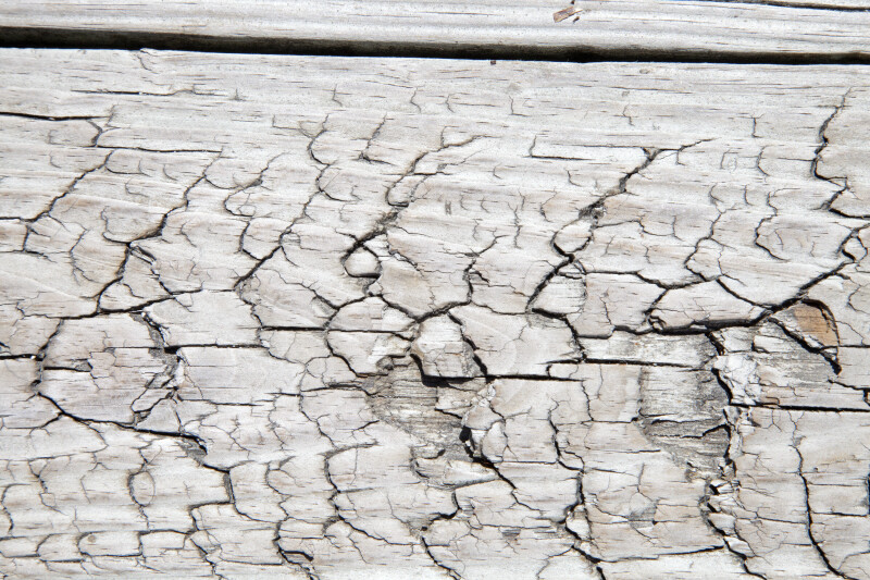 Cracked Wooden Sidewalk