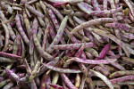 Cranberry Beans On Display at an Outdoor Market in Kusadasi