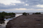 Creek at Snake Bight