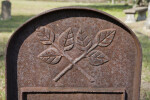 Crossed, Three-Leafed Branches