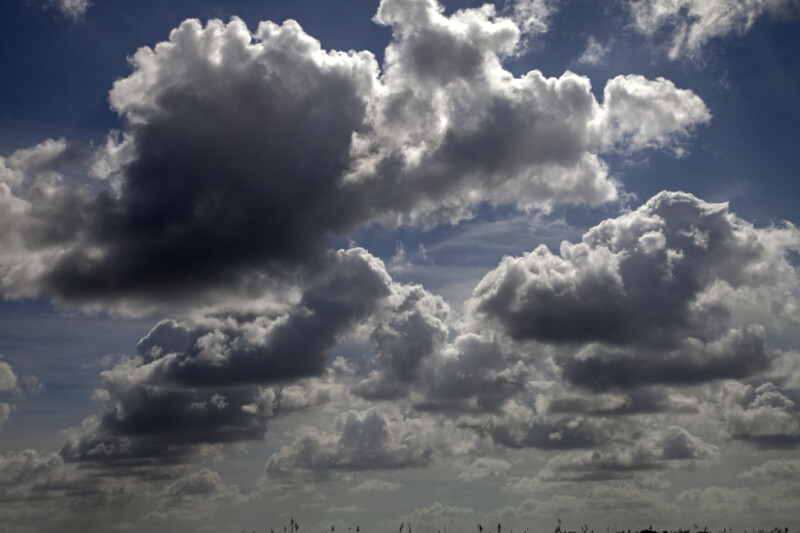 Cumulus Clouds with Grey and White Hues