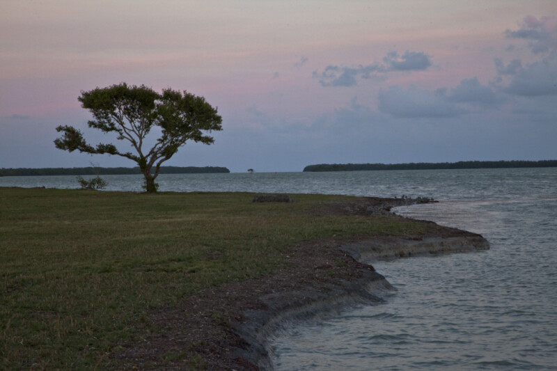 Curved Shoreline at the Florida Campgrounds of Everglades National Park