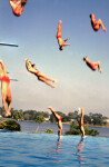 Cypress Gardens Divers