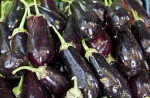Dark-Purple, Wet Eggplants