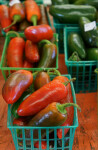 Dark Red Jalapeño Peppers at the Tampa Bay Farmers Market