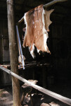 Deer Hide