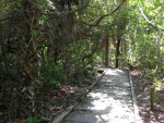 Delnor Wiggins Pass Boardwalk