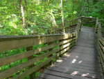 Devil's Millhopper Stairs