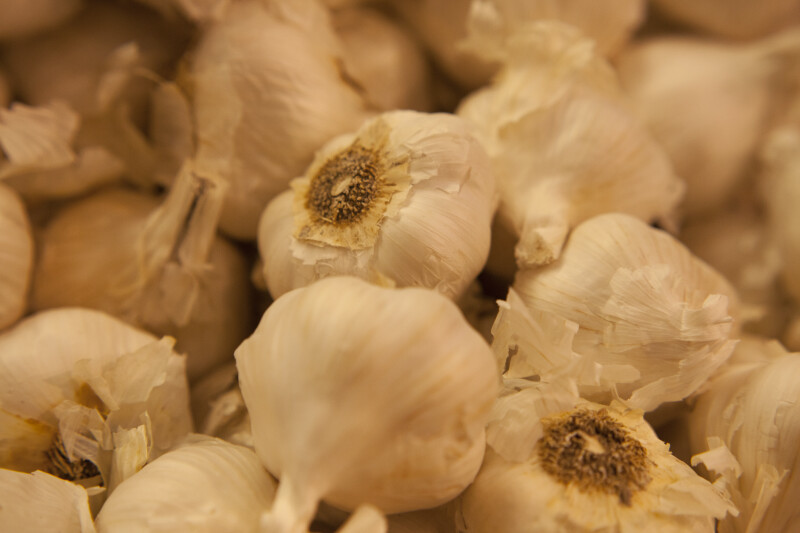 Display of Garlic