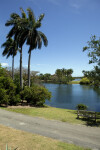 Distant View of Pond