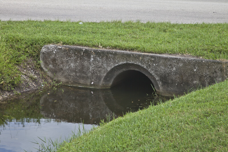 Drainage Ditch in St. Pete