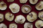 Dried Shitake Mushrooms