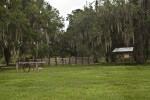 Dry Area of Circle B Bar Reserve with Oak Trees and Corral