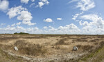 Dry Field at Shark Valley of Everglades National Park