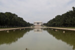 Duck at Reflecting Pool