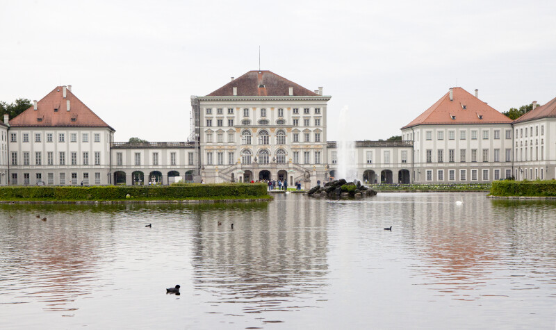 Ducks at Nymphenburg Palace