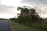 Dwarf Cypress Forest Sign