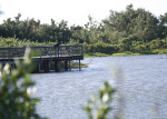 Echo Lake Boardwalk