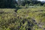 Echo Lake Trail