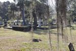 Elevated Cemetery Plot, and Plots Bordered with a Curb