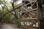 End of Skywalk at Myakka River State Park