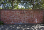 Endangered Wildlife Wall