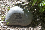 Engraved Tortoise Rock