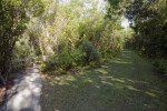 Entrance to Boardwalk and Shaded, Grass Trail